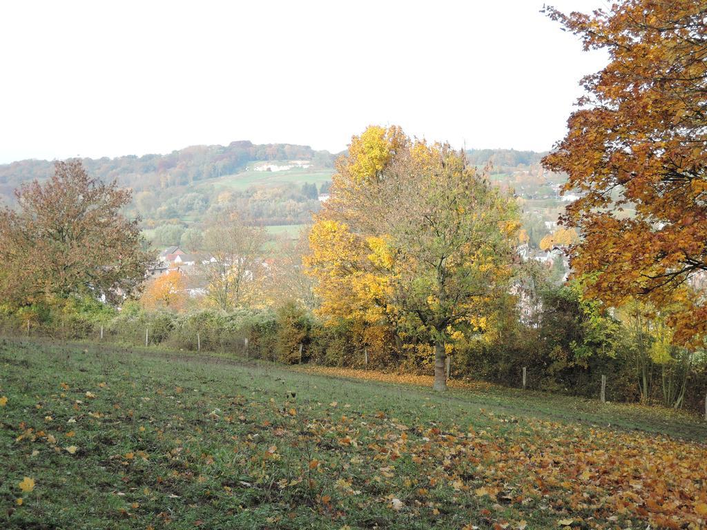 Vakantie Appartement Paedshof Ransdaal エクステリア 写真