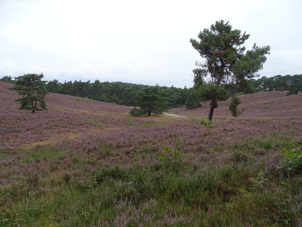 Vakantie Appartement Paedshof Ransdaal エクステリア 写真
