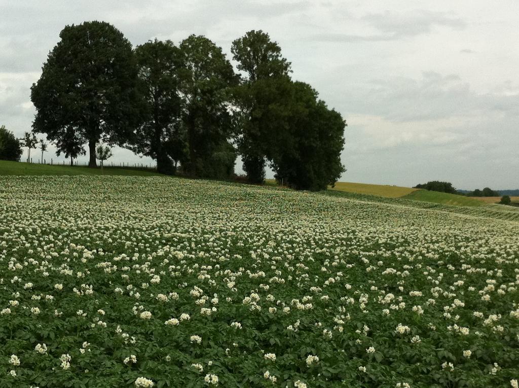 Vakantie Appartement Paedshof Ransdaal エクステリア 写真